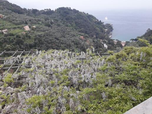 Trekking In Paradise B&B Santa Margherita Ligure Extérieur photo