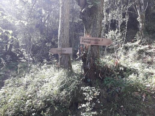 Trekking In Paradise B&B Santa Margherita Ligure Extérieur photo