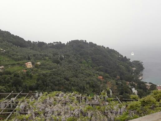 Trekking In Paradise B&B Santa Margherita Ligure Extérieur photo