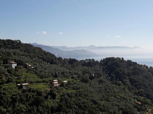 Trekking In Paradise B&B Santa Margherita Ligure Extérieur photo